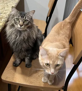 Foto de Luna y Nilo