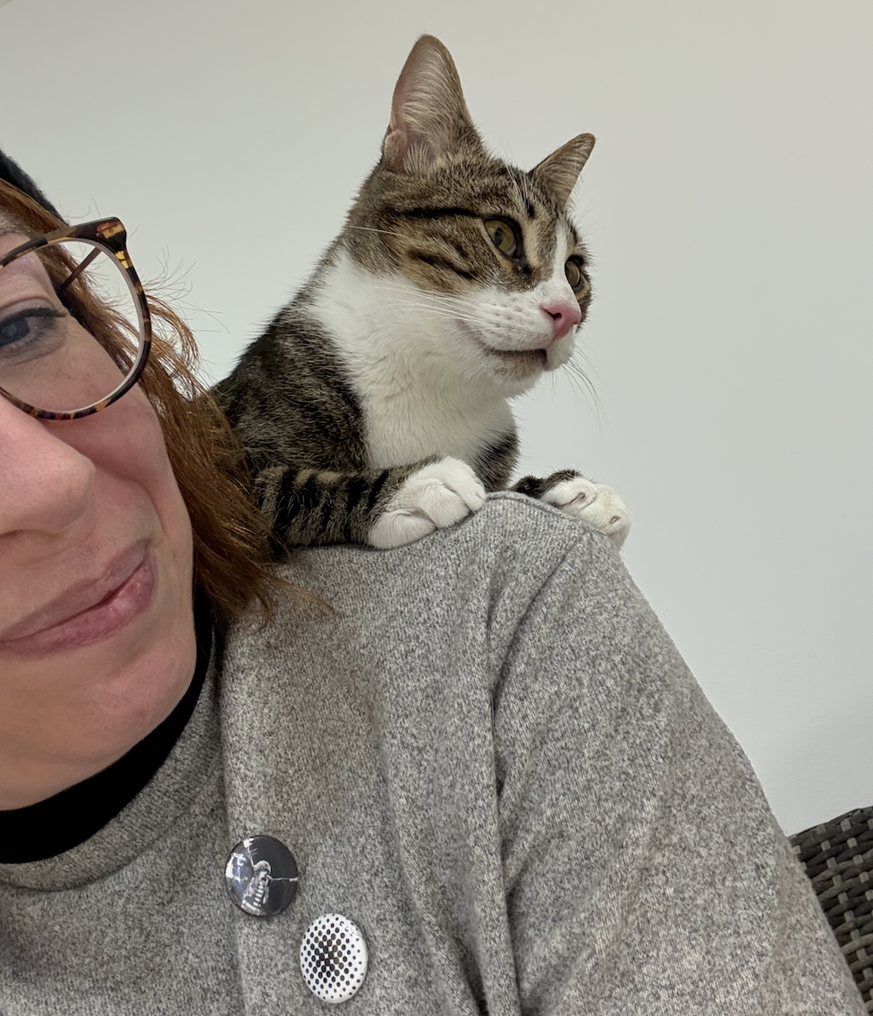 gato apoyado en el hombro de su catsitter