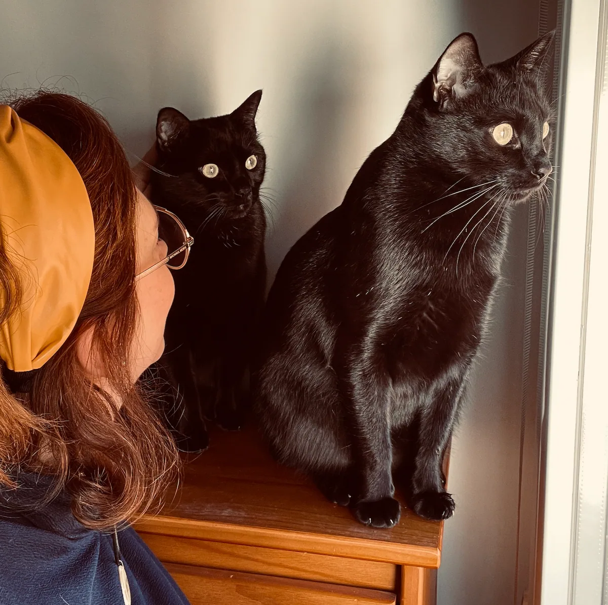 Zaira con sus dos gatos negros en casa