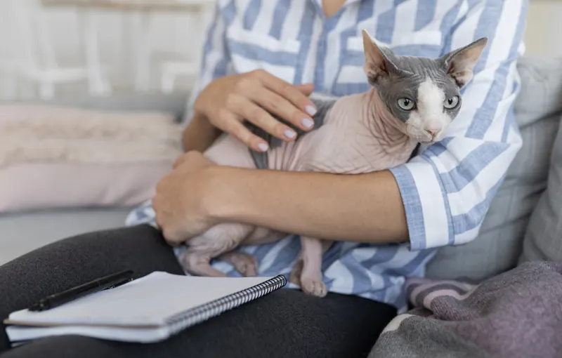 Cuidadora sujetando con cariño a un gato sphynx en el sofá junto a un cuaderno de notas